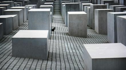 Das Denkmal für die ermordeten Juden Europas.