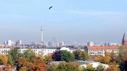 Wegen steigender Mietpreise weichen die Berliner bei der Wohnungssuche auf Alternativen aus.