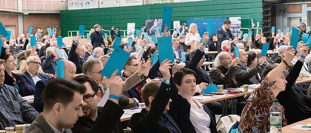 Auf dem Treffen der AfD in Brandenburg wählten die Delegierten die Kandidaten für die Landesliste der Bundestagswahl.