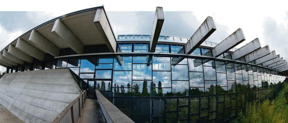 Die Biosphären-Halle in Potsdam. Die Stadt Potsdam möchte sie nun erhalten.
