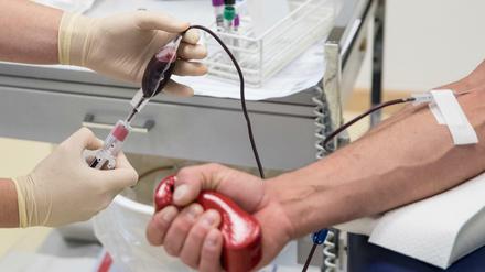 Dringend benötigt: Blutspenden. Nach wissenschaftlicher Überprüfung sollen nun auch Beschränkungen für Homosexuelle gelockert werden.