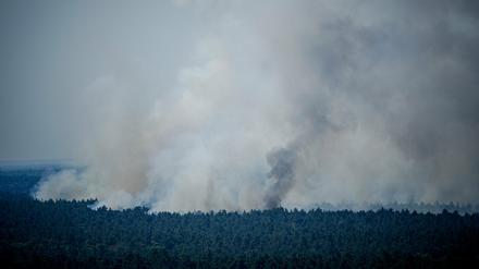 Tagelang stieg Rauch im Grunewald auf, nachdem am 4. August auf dem Gelände zur Beseitigung von Explosionsstoffen ein Feuer ausgebrochen war. 