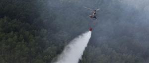 Ein Hubschrauber der Bundespolizei bei Löscharbeiten in einem Waldstück in der Lieberoser Heide.