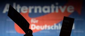 AfD und Grüne legen knapp drei Monate vor der Landtagswahl in Brandenburg kräftig zu.