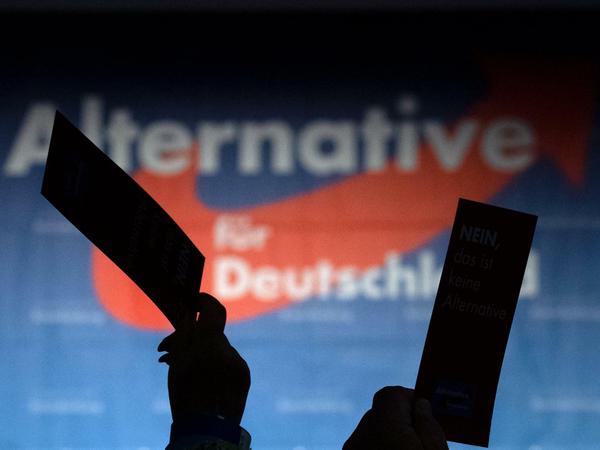 Die AfD ist bei Umfragen in Brandenburg nun stärkste Kraft. 