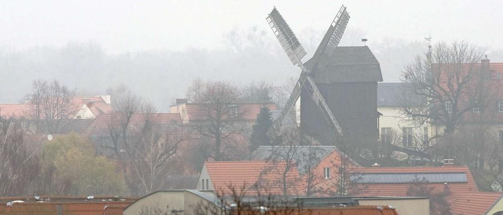Windmühlenpanorama in Werder an der Havel. Brandenburg ist landschaftlich attraktiv - an politischer Teilhabe haben viele Bürger aber kein Interesse.