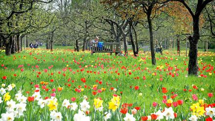 Idylle zwischen Blumen und Obstbäumen: Im Britzer Garten lässt es sich aushalten.