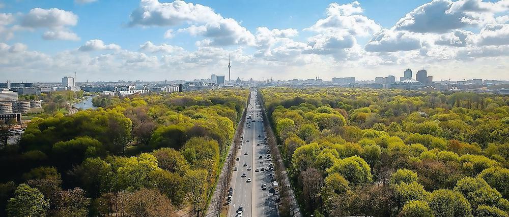 Berlin hat viele Parks, Grünflächen, Wälder. Der Grund ist ein altes Gesetz.