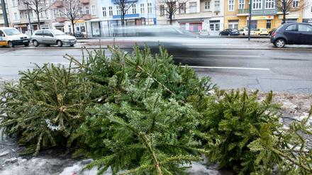Erst Schmuck, dann Müll: Das Schicksal des Weihnachtsbaumes, wie es schon Hans Christian Andersen in seinem Märchen "Der Tannebaum" geschildert hat.