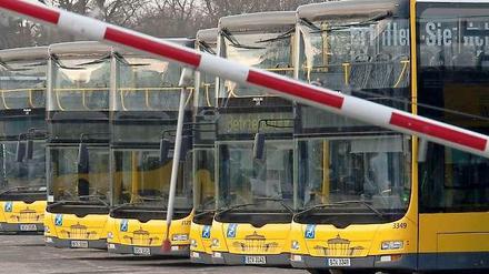 Wie pünktlich sind Berlins Busse?