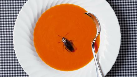 Kakerlake in der Suppe: Besser, wenn man's vorher weiß.