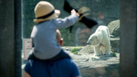 Die Berliner Zoos haben unter strengen Auflagen wieder geöffnet.