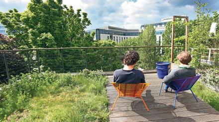 Berlin gilt als grüne Stadt. Wie ihr Klima schonend gestaltet werden kann, diskutieren Experten in der Urania.
