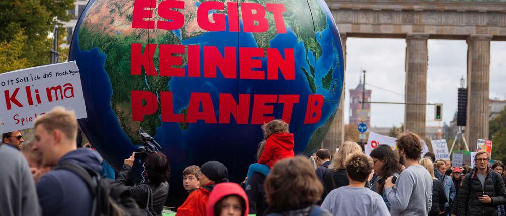 Seit rund einem Jahr demonstriert die Bewegung "Frudays For Future" regelmäßig in Berlin. 