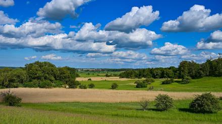 Brandenburg, Mallnow: Wolken ziehen über die Landschaft eines Naturschutzgebietes am Rande des Oderbruchs.