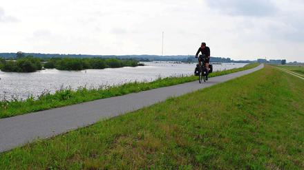 Der Elberadweg erhielt auf dem neuen Deich auch gleich eine frische Asphaltschicht. Radfahrer und Wanderer werden auf Tafeln über das Projekt informiert. 