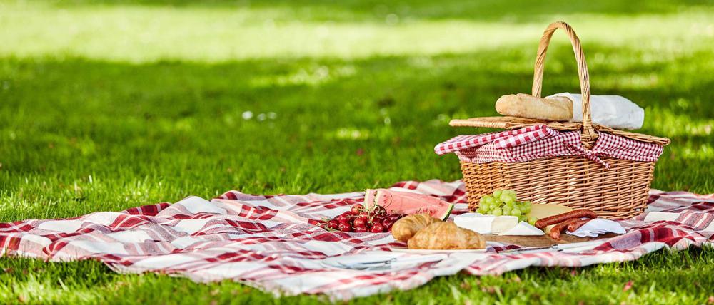 Die besten Plätze für ein gemütliches Picknick in Berlin verraten die Autoren der Bezirke-Newsletter.