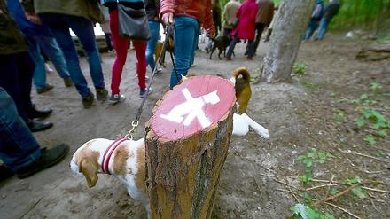 Ein Hund pinkelt bei einer Demonstration im Mai gegen ein Hunde-Verbotssschild am Schlachtensee. 