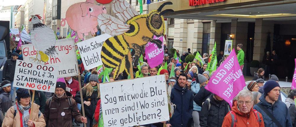 Teilnehmer der „Wir haben es satt“-Demo in Berlin.