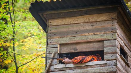 Wirken wie kaltblütige Killer, haben in den Berliner Wäldern aber eine unverzichtbare Aufgabe: Jäger in orangenen Jacken.