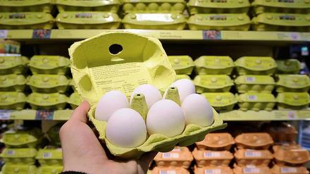 In Berlin soll es keine Dioxin-Eier geben, sagt die Verbraucherschutzsenatorin.