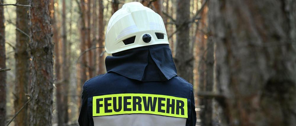 In einem Waldgebiet in Brandenburg steht ein Feuerwehrmann. Bereits jetzt hat die Feuerwehr mit etlichen Waldbränden zu tun. 