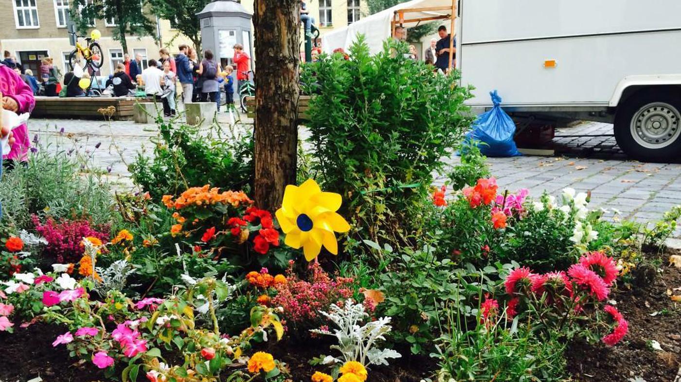 Urban Gardening in Berlin Ihr Möchtegärtner!