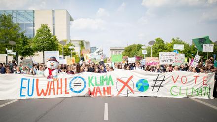 Europawahl ist Klimawahl: Zu den Demonstrationen hatten Ortsgruppen von "Fridays for Future" deutschlandweit mobilisiert.
