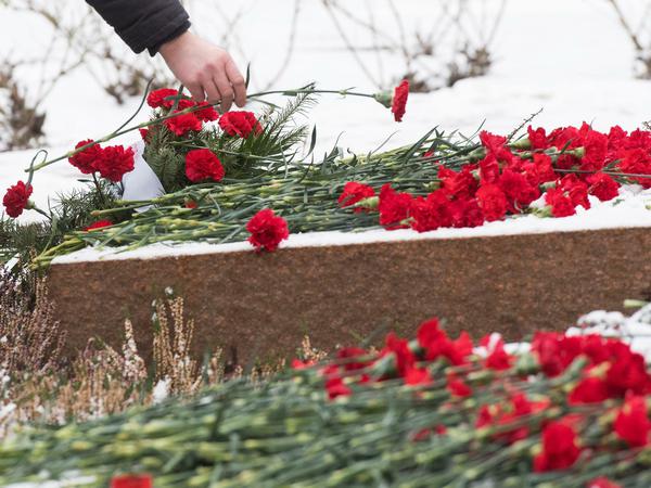 Ein Mann legt am 15.01.2017 an der Gedenkstätte der Sozialisten auf dem Zentralfriedhof Friedrichsfelde in Berlin zum Gedenken an die 1919 ermordeten Kommunistenführer Rosa Luxemburg und Karl Liebknecht eine Nelke auf die Grabstelle. 