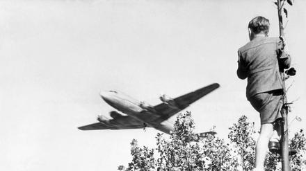 Ein Junge verfolgt von einem Baum aus den Landeanflug eines US-amerikanischen Transportflugzeugs auf den Berliner Flughafen Tempelhof. 