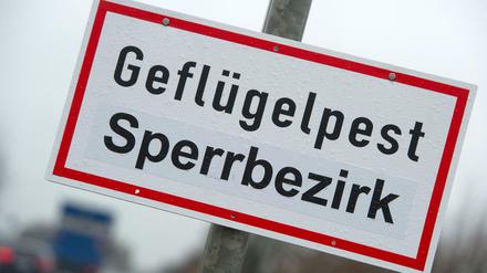 Ein Schild mit der Aufschrift "Geflügelpest Sperrbezirk" steht an einer Straße (Symbolbild).