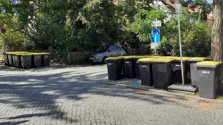 23-mal Müll auf dem Gehweg: Parade der gelben Tonnen am Zehlendorfer Eschershauser Weg.