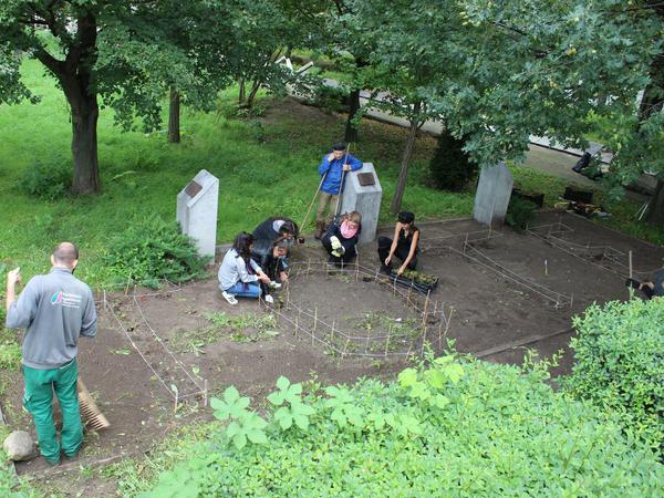 Schülerinnen der Friedensburg-Oberschule aus Charlottenburg pflanzen Immergrün in Form des Wortes "Tote"