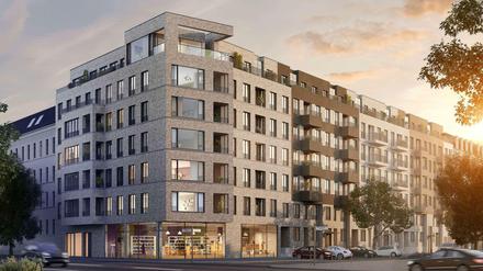 Im Modell. So stellt sich der Investor Buwog-Meermann die neuen Häuser mit rund 75 Wohnungen vor. Der Bau soll im Frühjahr 2014 beginnen. 