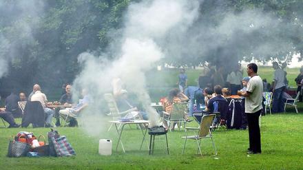 Damit soll während der WM Schluss sein: dicke Rauchschwaden über dem Tiergarten.