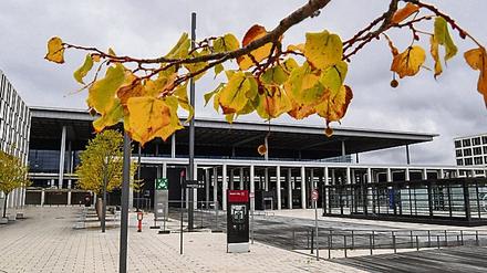 Herbstlich gefärbt ist das Laub der Lindenbäume vor dem Terminal des Hauptstadtflughafens BER.