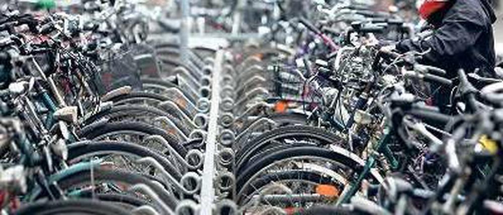 Fahrradstadt Münster. Hier wird nicht nur in Fahrradständer investiert. Auf sieben Grünschneisen führt der Radverkehr seit Jahrzehnten von der Stadt in das Umland. Foto: dpa