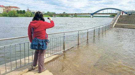 Überflutung. In Frankfurt hat die Oder bereits das Ufer überschwemmt. Viel dramatischer ist jedoch die Lage im Einzugsgebiet des Flusses in Polen. Dort sind bereits Menschen in den Fluten ertrunken. Foto: dpa