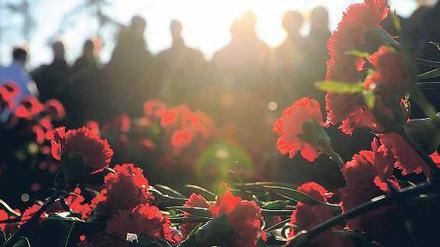 Rote Nelken. An diesem Sonntag zieht, was links denkt, nach Friedrichsfelde – im Gedenken an Liebknecht und Luxemburg und ihre Utopie im Herzen. Foto: ddp/Bilan
