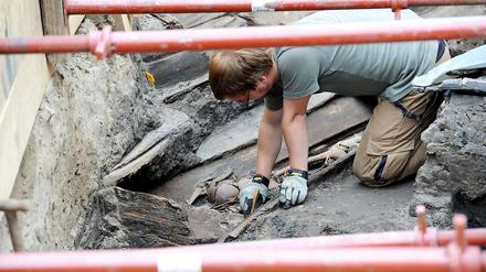 Am Fundort. Ein Archäologe legt an der Leipziger Straße die Knochen frei.