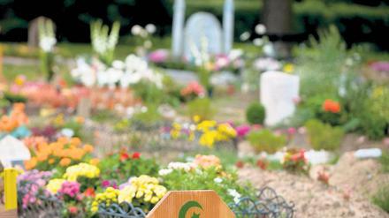 Nur noch rund 50 freie Grabstellen gibt es auf dem muslimischen Friedhof am Columbiadamm. Nun schlug ein Sprecher der islamischen Föderation Berlin vor, nicht genutzte Flächen auf christlichen Friedhöfen für islamische Bestattungen zu nutzen.
