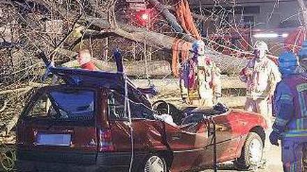 Wie ein Wunder. Nur leicht verletzt wurden zwei Frauen, auf deren Auto dieser Baum stürzte. Die 49-jährige Fahrerin, die nicht namentlich genannt werden will, muss den Schaden wohl selbst tragen. Foto: dpa