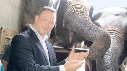 Im Streichelzoo. Frank Henkel, der CDU-Landesvorsitzende und Innensenator, war schon öfter im Tierpark zu Besuch. Archivbild (2011): Davids/Darmer