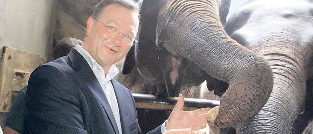 Im Streichelzoo. Frank Henkel, der CDU-Landesvorsitzende und Innensenator, war schon öfter im Tierpark zu Besuch. Archivbild (2011): Davids/Darmer