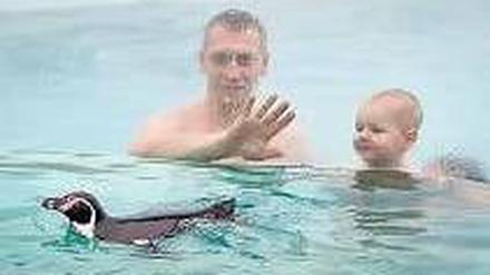 Schwimmen mit Tieren kann man bereits in Lübbenau.