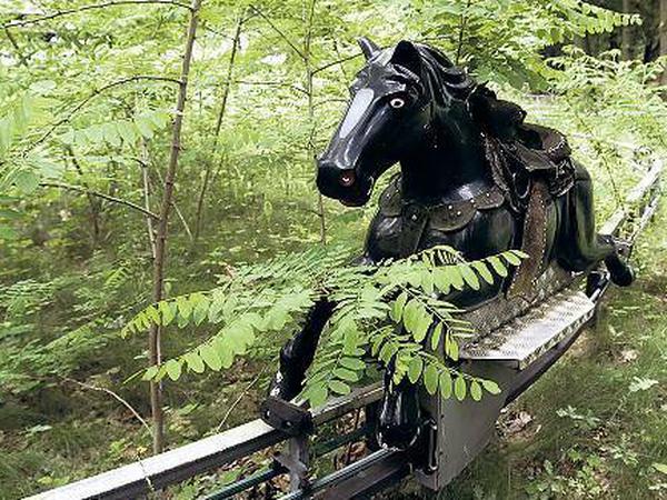 Ein Pferdchen im Wald. 