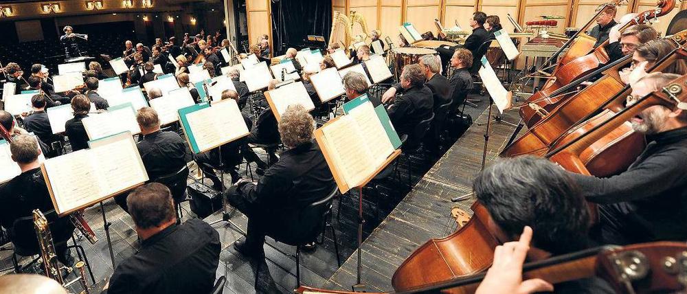 Frisch gestrichen. Die Cellisten und anderen Musiker aus Cottbus bestreiten das Auftaktkonzert in Potsdam.