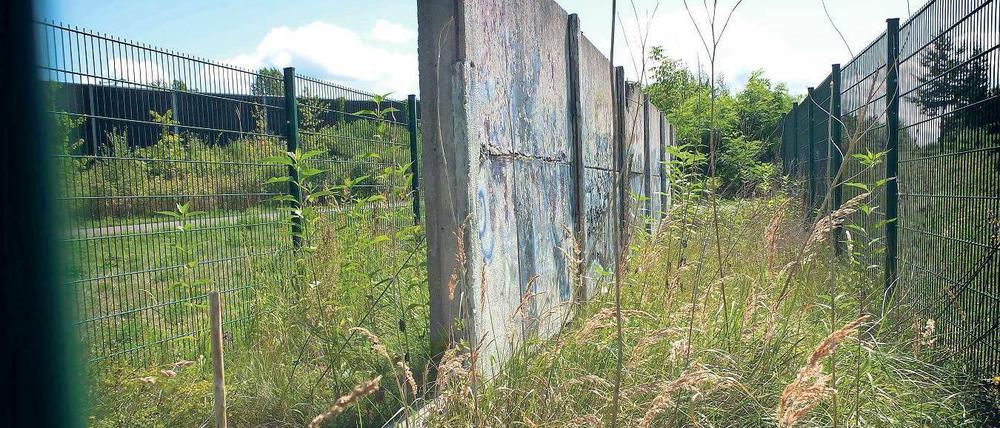 Hier bröselt ein vormals gefährliches Ungeheuer hinter Gittern vor sich hin: Mauerelemente der „Hinterlandsicherung“ und wuchernde Vegetation im Landschaftspark Rudow-Altglienicke. 