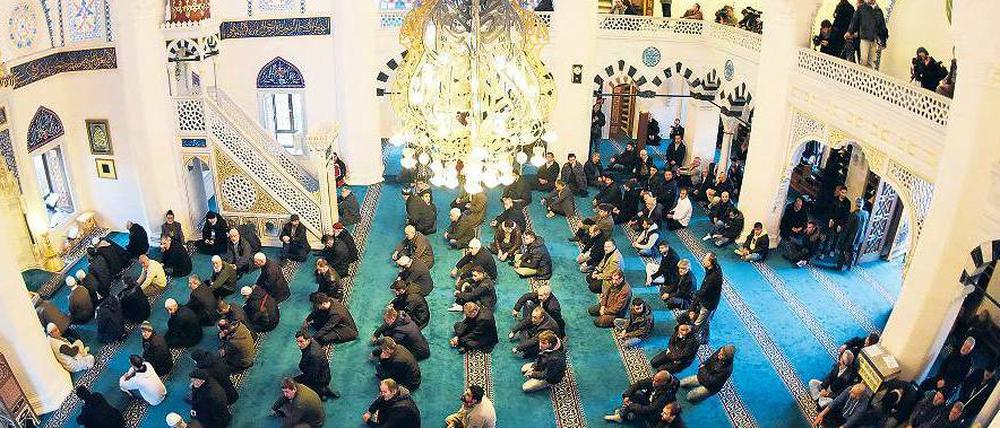 Prächtige Kulisse. In der Sehitlik-Moschee in Berlin verurteilte der Imam die Gewalttaten von Paris. 