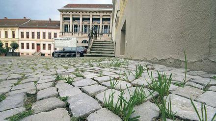 Halm ab. Die Potsdamer Stadtverwaltung ist dem Gras in den Pflasterritzen am Neuen Markt nicht grün. 
